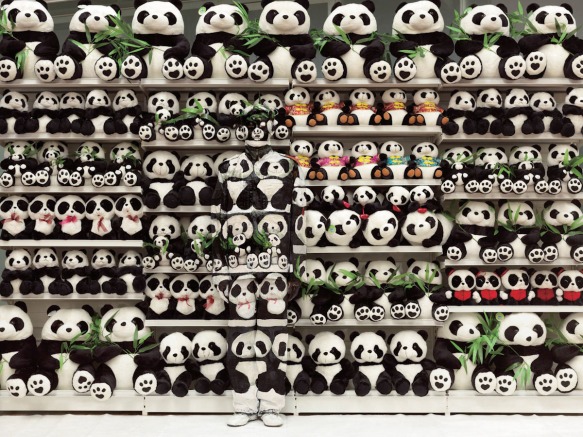 Liu Bolin, Hiding in the City - Panda, 2012